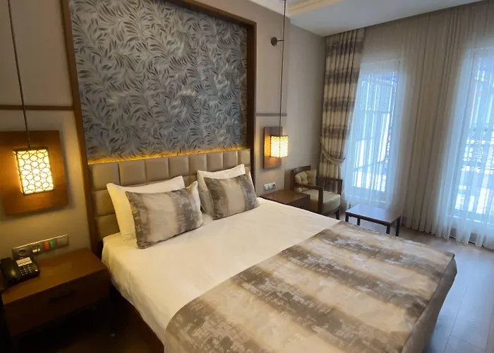 Manesol Boutique Galata 4* Стамбул